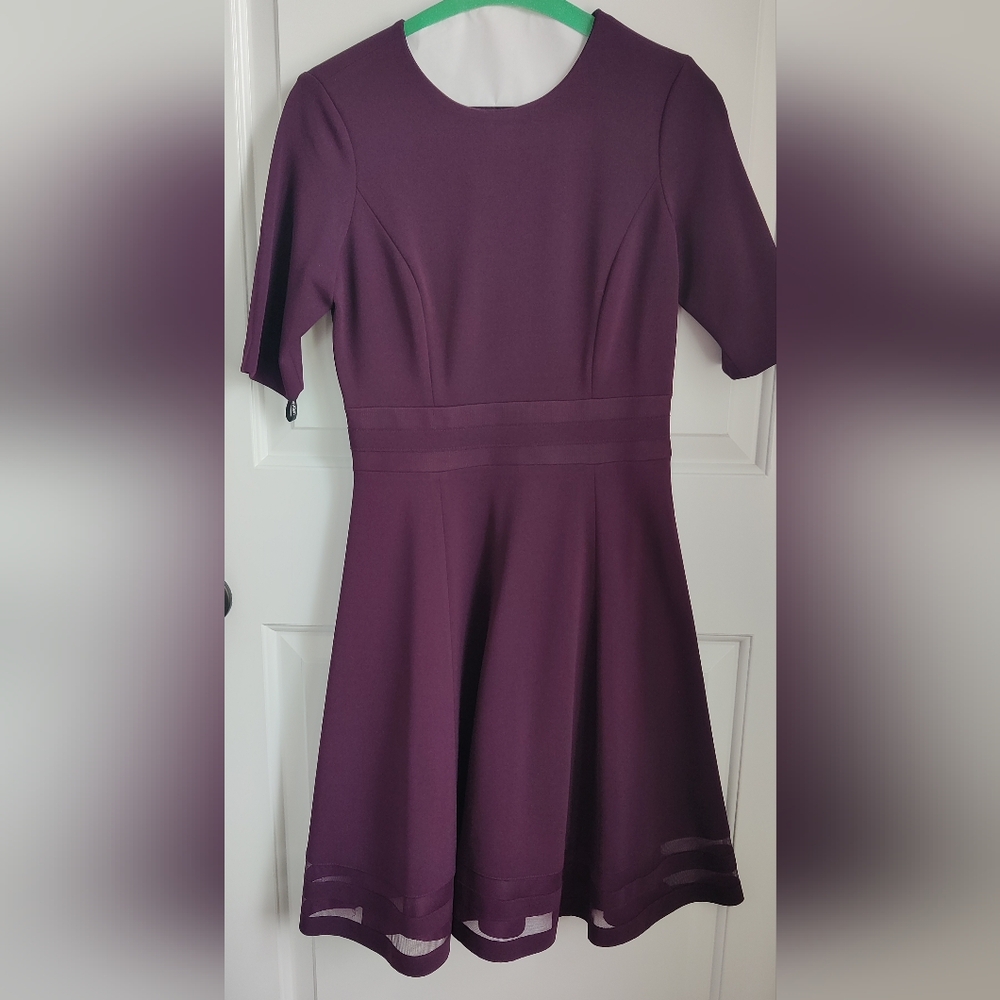 Elegant Plum Dress